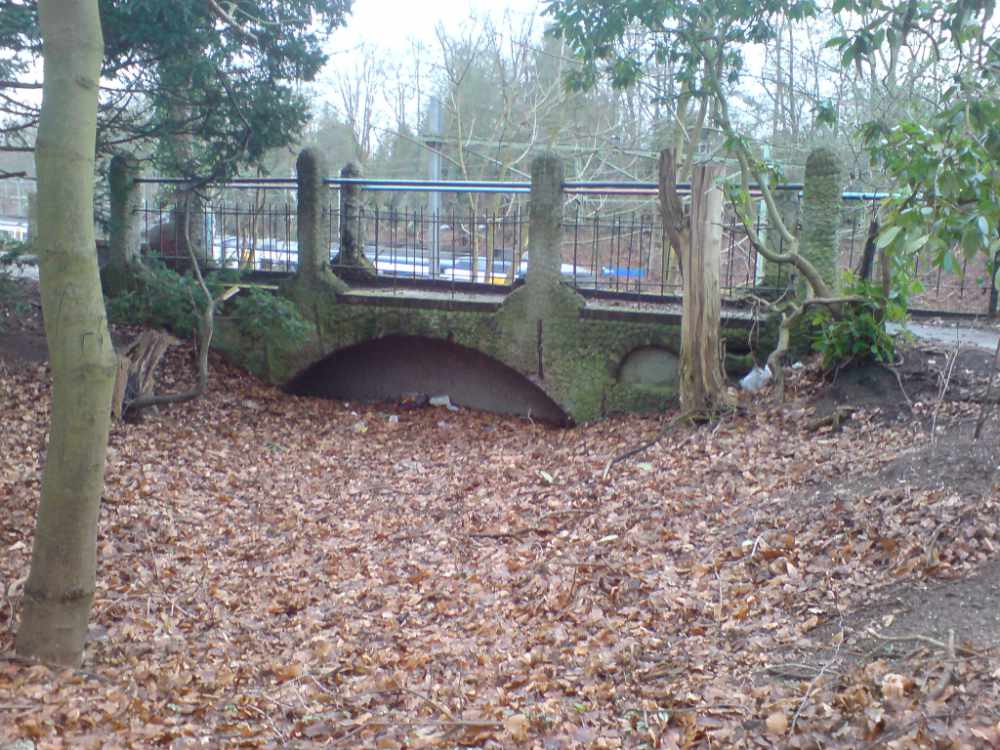 Ruinebrug Baarn