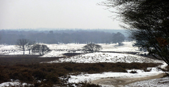 HKB2503 grafheuvels winter HQ