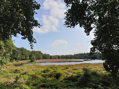 Afbeelding bij vraag